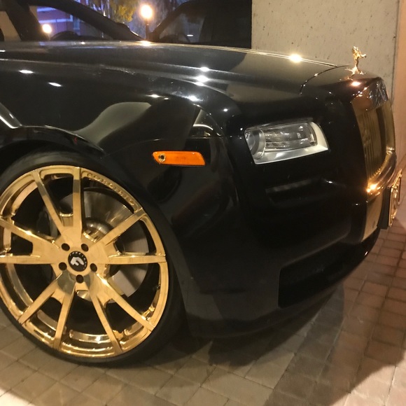 Meet your Posher, Parker - Picture 1 of 1